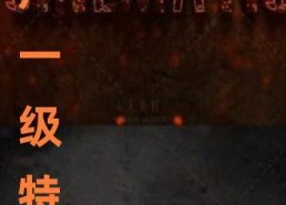 国产1级,引领科技潮流，铸就民族品牌辉煌