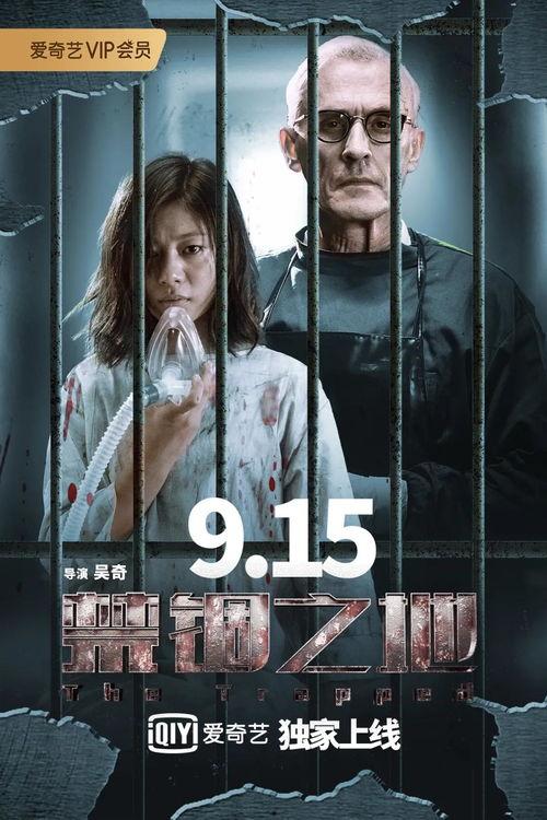 国产电影视频,国产电影中的时代印记与情感共鸣